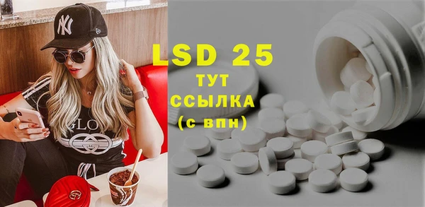 ГАЛЛЮЦИНОГЕННЫЕ ГРИБЫ Пересвет