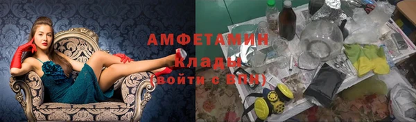 ГАЛЛЮЦИНОГЕННЫЕ ГРИБЫ Пересвет