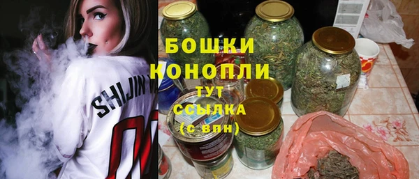 дживик Пестово