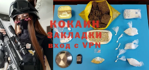 дживик Пестово