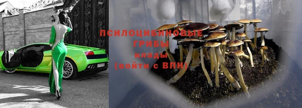 ГАЛЛЮЦИНОГЕННЫЕ ГРИБЫ Пересвет