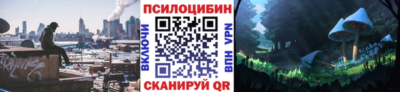 Купить где  Пойковский  Галлюциногенные грибы Psilocybine cubensis 